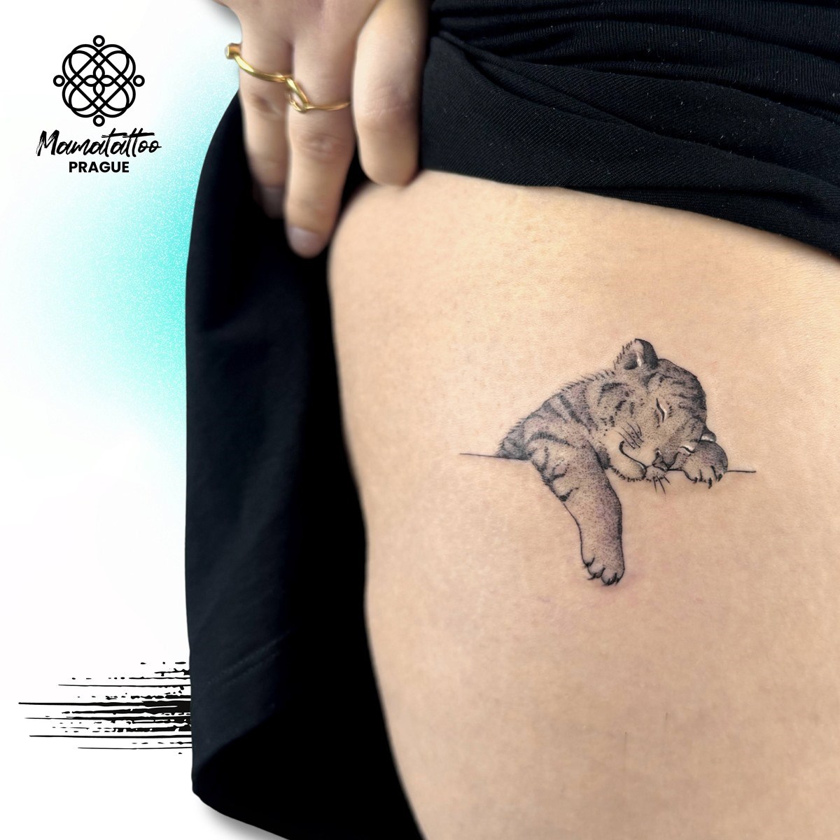  3/23